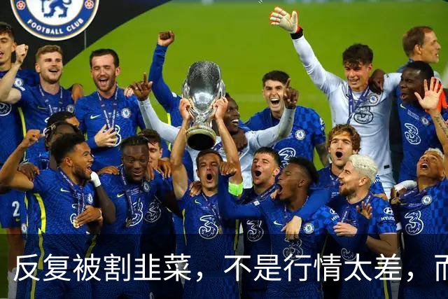 反复被割韭菜，不是行情太差，而是散户普遍存在这 5 个思维短板