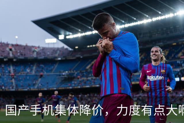 国产手机集体降价，力度有点大啊！