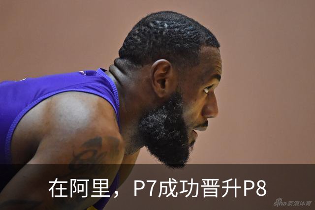 在阿里，P7成功晋升P8