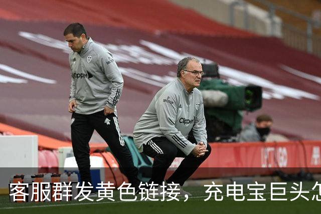 客服群发黄色链接，充电宝巨头怎么了？