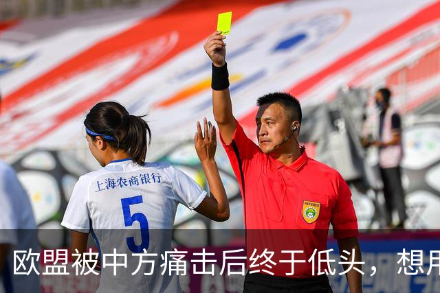 欧盟被中方痛击后终于低头，想用一换一来救阿斯麦供应商