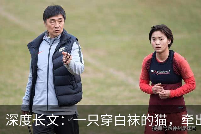 深度长文：一只穿白袜的猫，牵出 3 亿年前生命的建造法则！