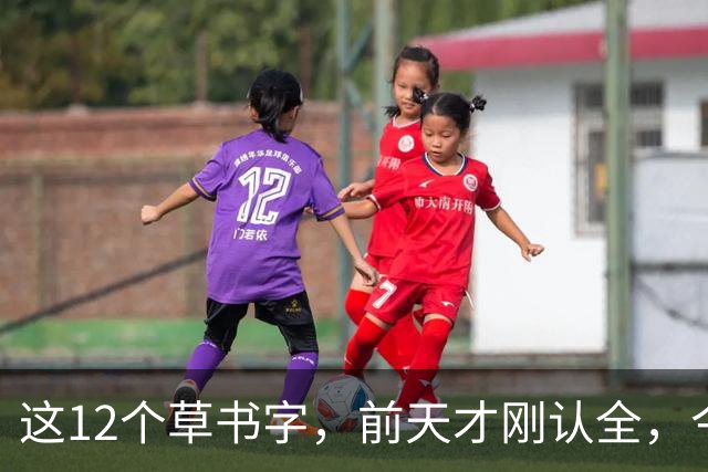 这12个草书字，前天才刚认全，今天就忘了5个——全认出来的是真功夫。草书的写法为什么一段时间不练习，就全忘了？