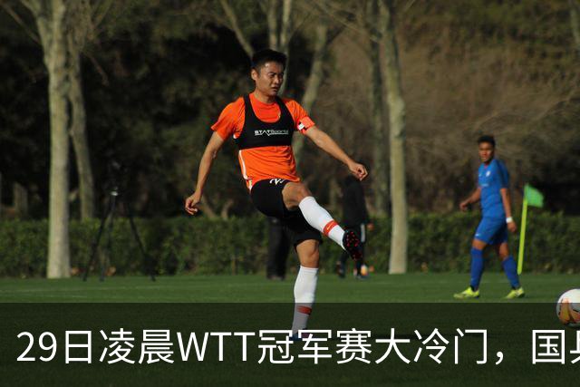 29日凌晨WTT冠军赛大冷门，国乒头号强敌出局，张本智和真不行