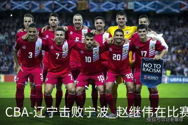CBA-辽宁击败宁波 赵继伟在比赛中